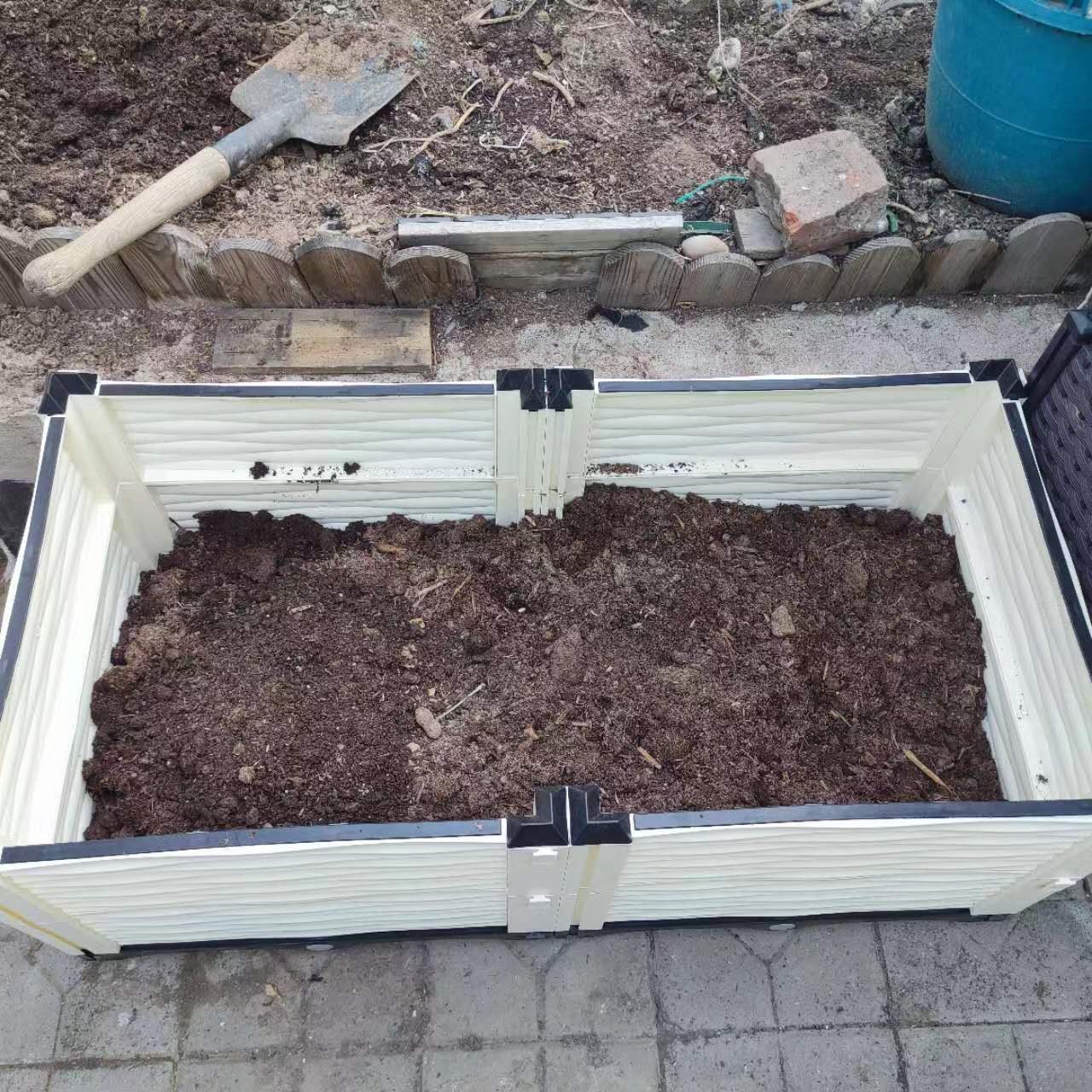 唐宝种菜日记004——种植箱种上荷兰黄瓜了