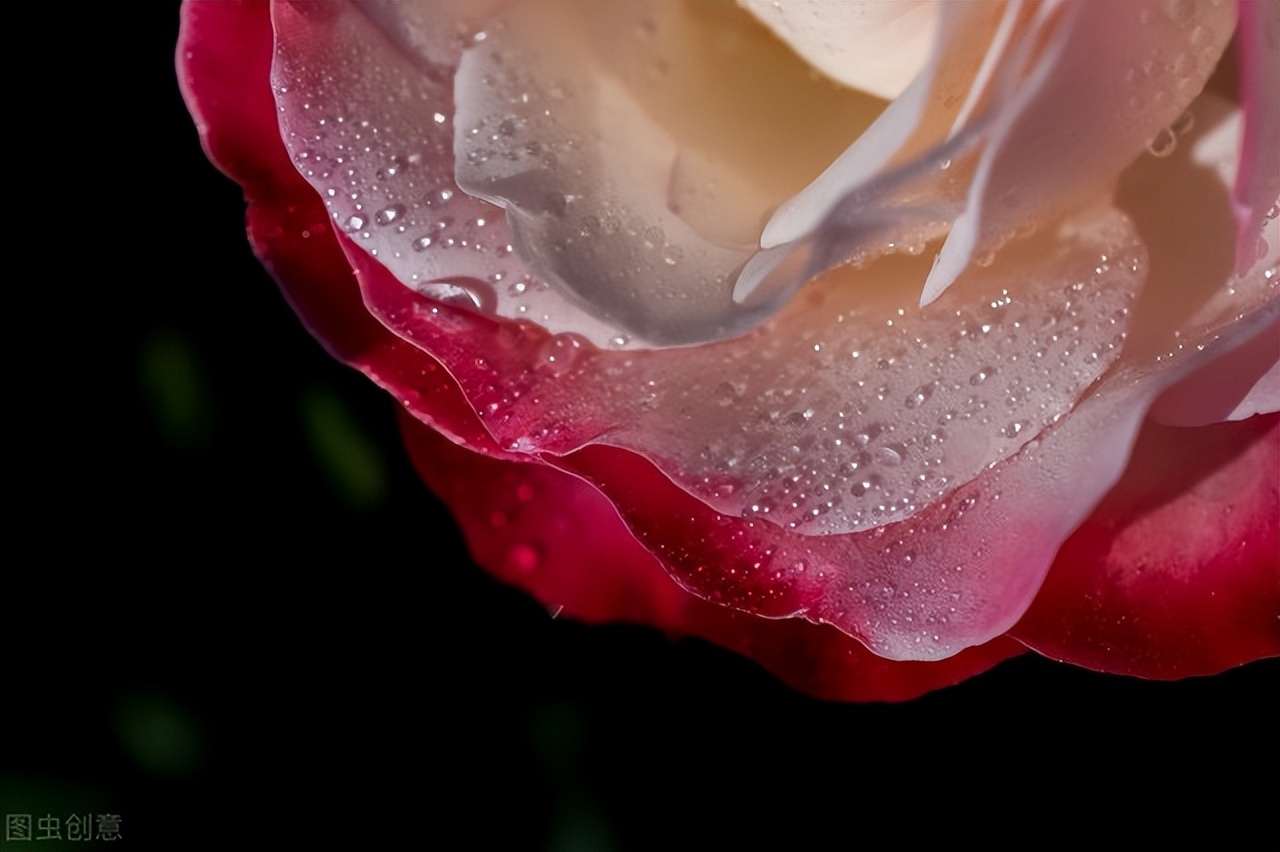 健康外阴皮肤标准