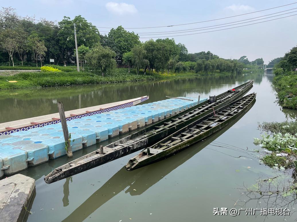 起龙赛龙舟,2022龙舟起龙仪式