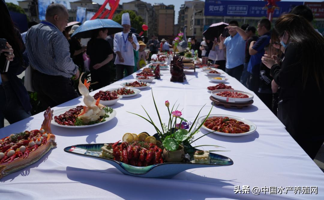 2023年南县小龙虾价格行情,南县小龙虾价格报价