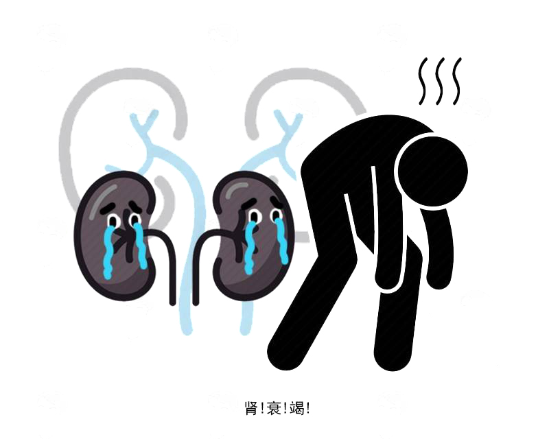 引发尿毒症出现的病因是什么呢,急性尿毒症会遗传下一代吗