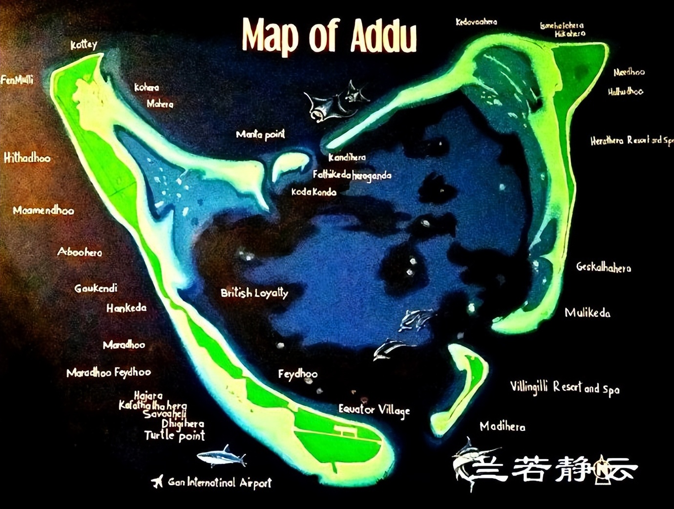 马尔代夫十大顶级岛,探秘马尔代夫马什岛的美妙之处