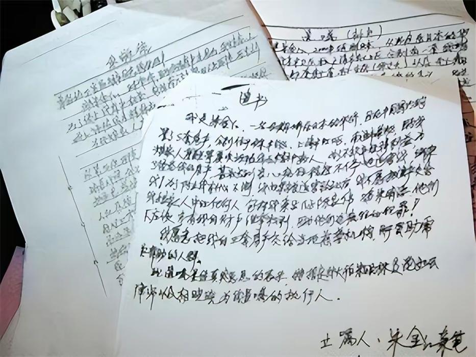 2010年,母亲为600万房产将女儿送进精神病院,声称:我是在救她