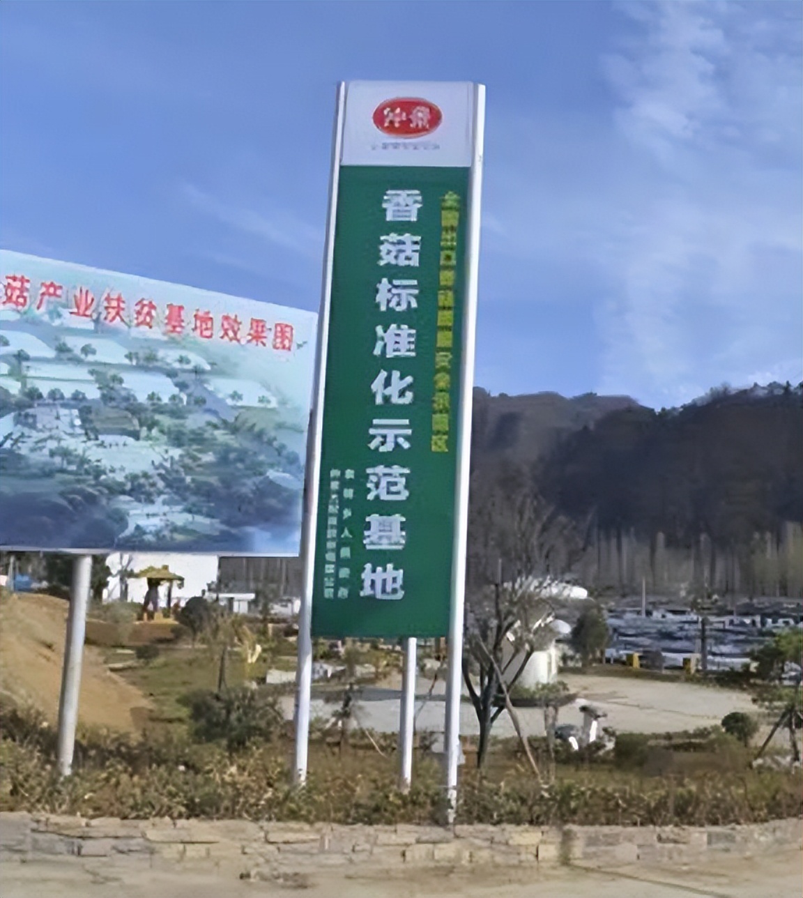 仲景香菇酱:从地方特产到全国餐桌上的品牌跨越