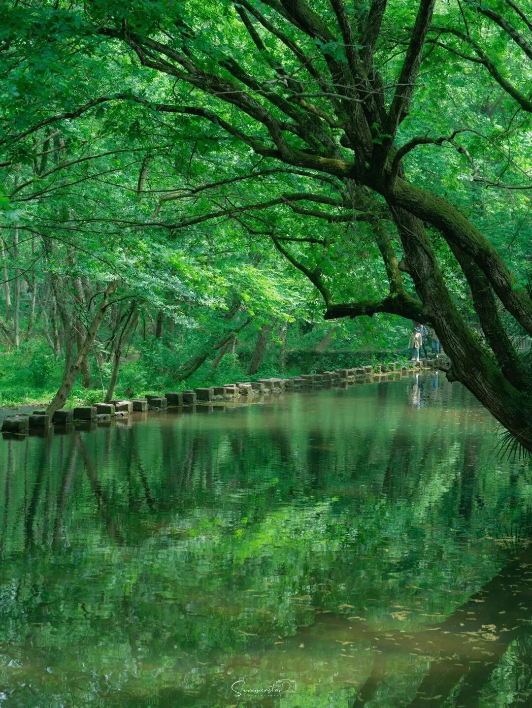 夏天凉快风景好又有水的旅游景点,夏天旅游景点哪里最好玩