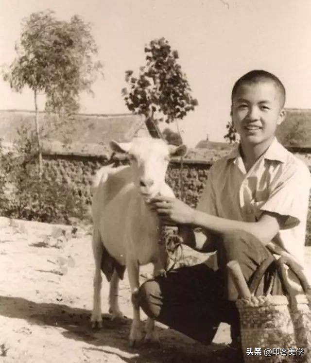 经典的塑料爱情句子图片,经典的爱情故事