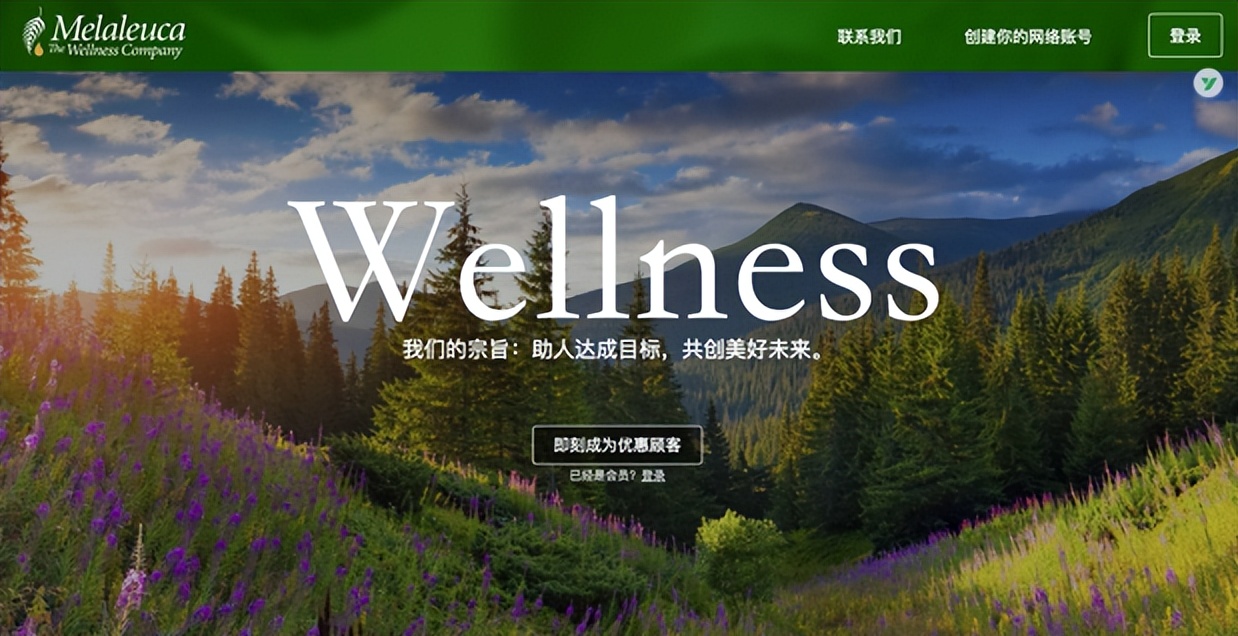 2023年中国直销公司排行榜,2017中国十大直销公司排行