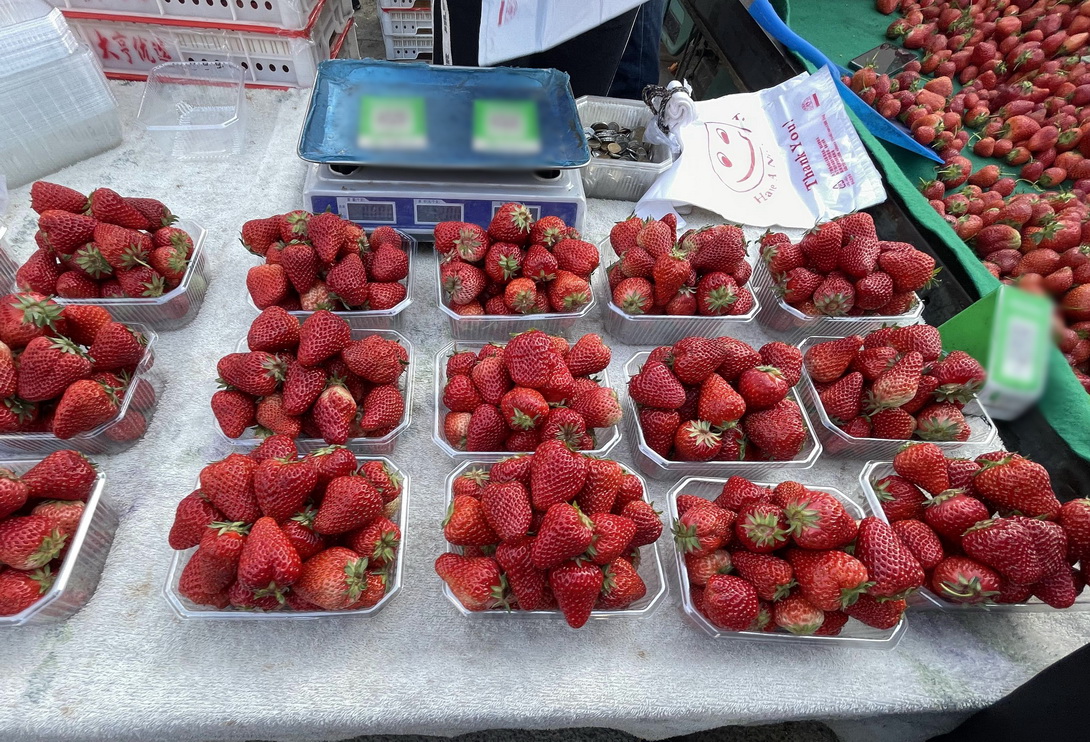 带大家看看东北早市物价多便宜,看东北早市物价冬天囤菜