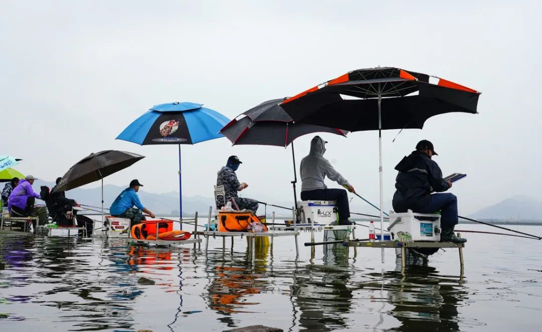 钓鱼上瘾如何劝说别人,钓鱼上瘾怎么劝朋友不玩