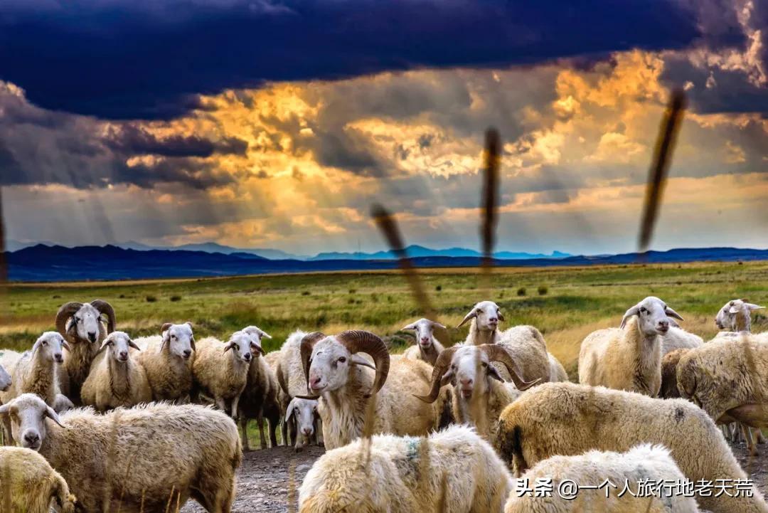亚洲旅游胜地甘肃,甘肃被评为亚洲最佳旅游地之首