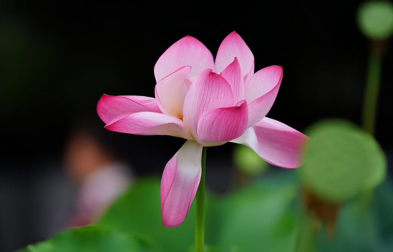 什么人需要闭环管理,真正靠谱的人都闭环管理