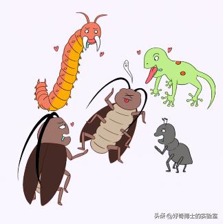 家里踩死的蟑螂，为啥一会儿就自动消失了？