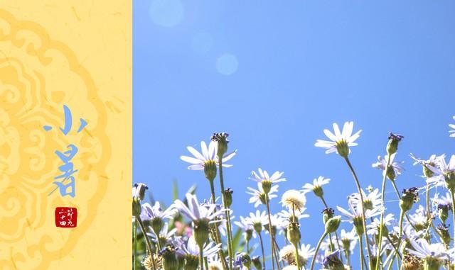 夏季养生应少吃这3种寒性食物,明日入伏建议大家少吃绿豆和生姜