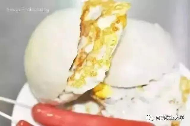 来到农大的心得体会,农大心得