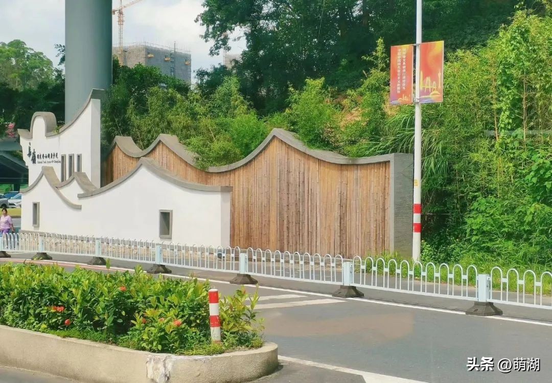 广州这个竹林溯溪胜地玩水,清凉避暑好去处山洞里一起来玩水