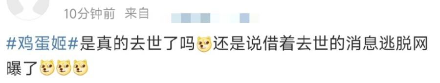 粉发女孩去世了，“凶手”又隐身了