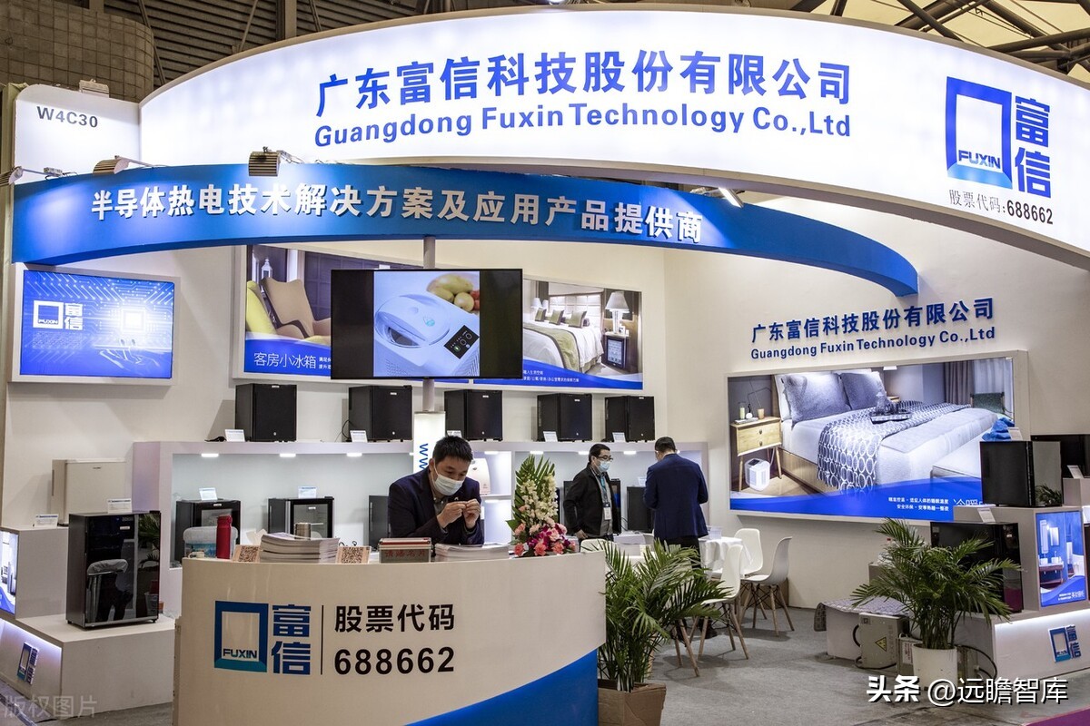 国产etc芯片,国产小巨人