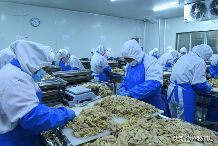 圣农集团千亿产业集群,圣农集团的党建学习