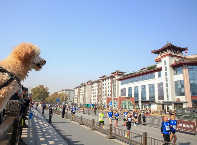 跑步不累的方法,跑步如何呼吸跑得快且不累视频