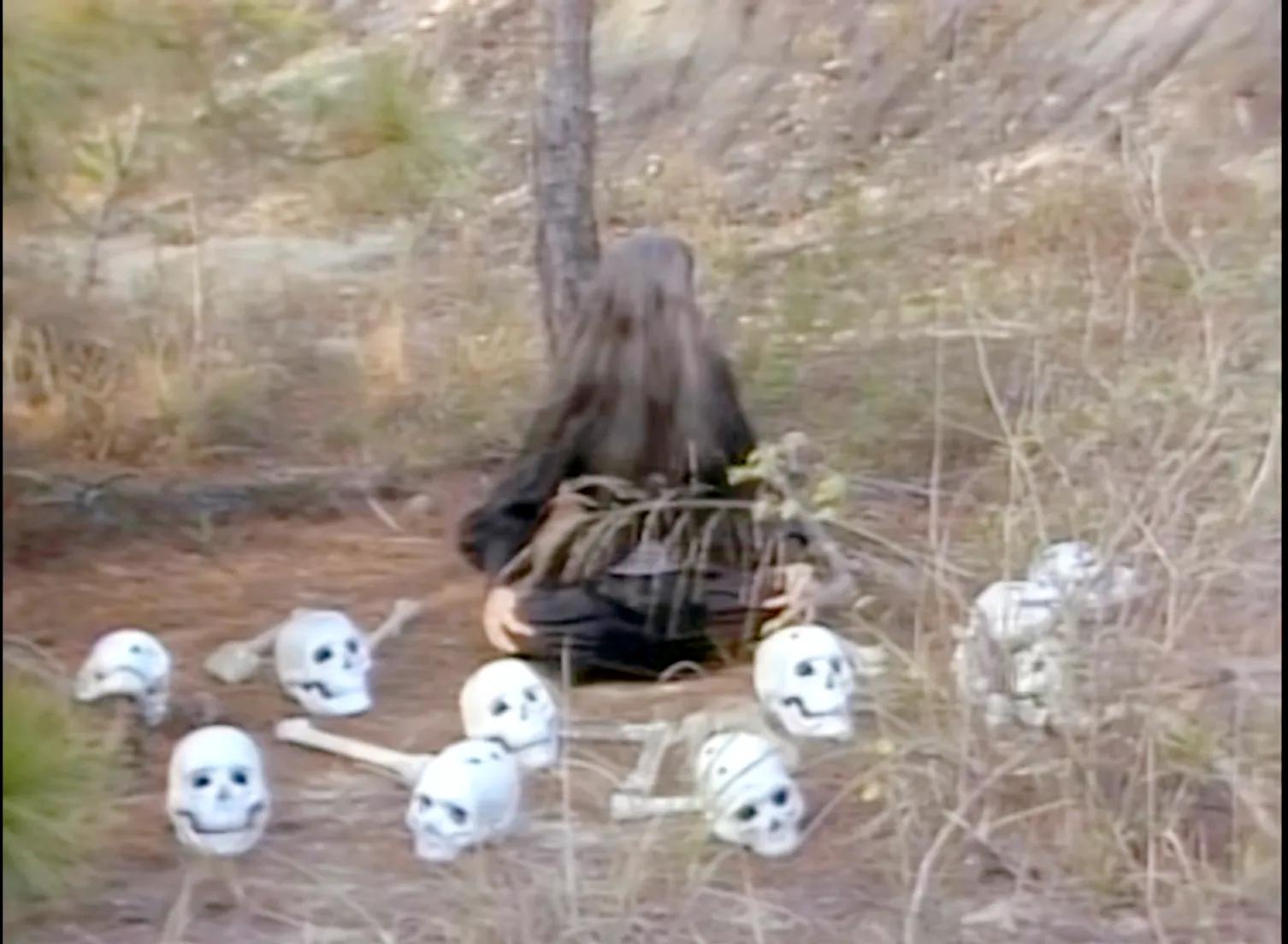 射雕83版电视剧翁美玲,83射雕花絮翁美玲和黄日华