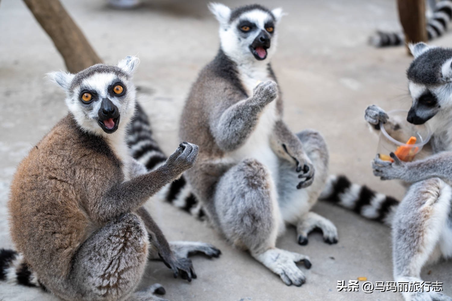 宿州到底有多好耍,宿州世外桃源好去处
