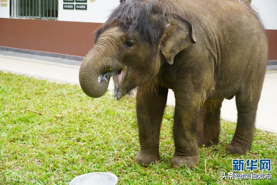 cop15大会高清图,cop15第二阶段会议有哪些人出席