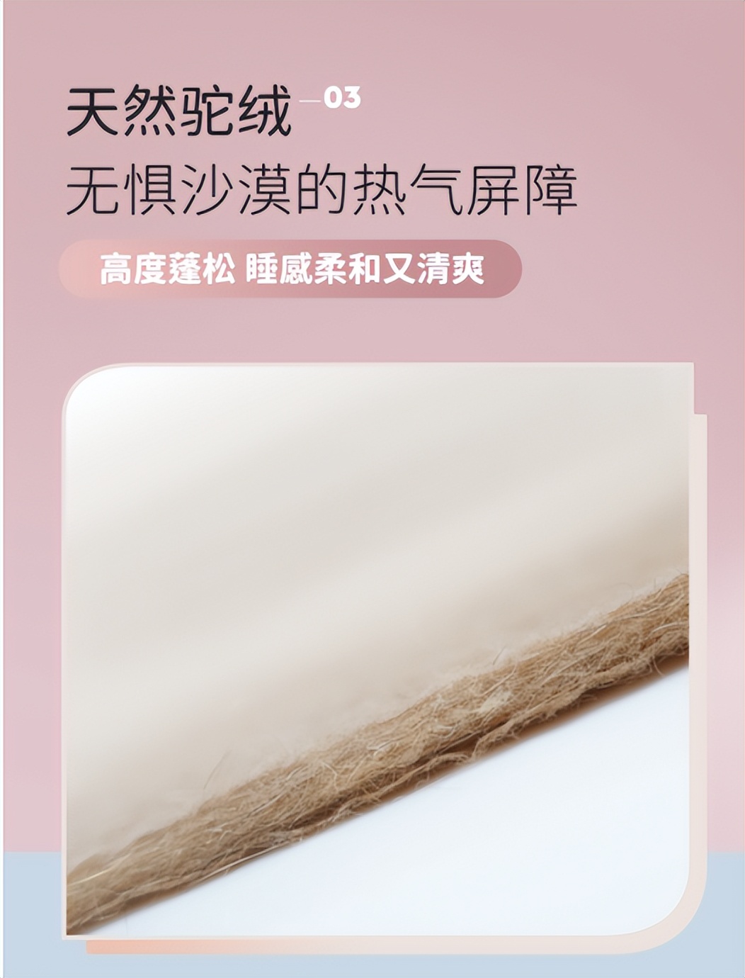 读者群官方网站,读者社群的信息