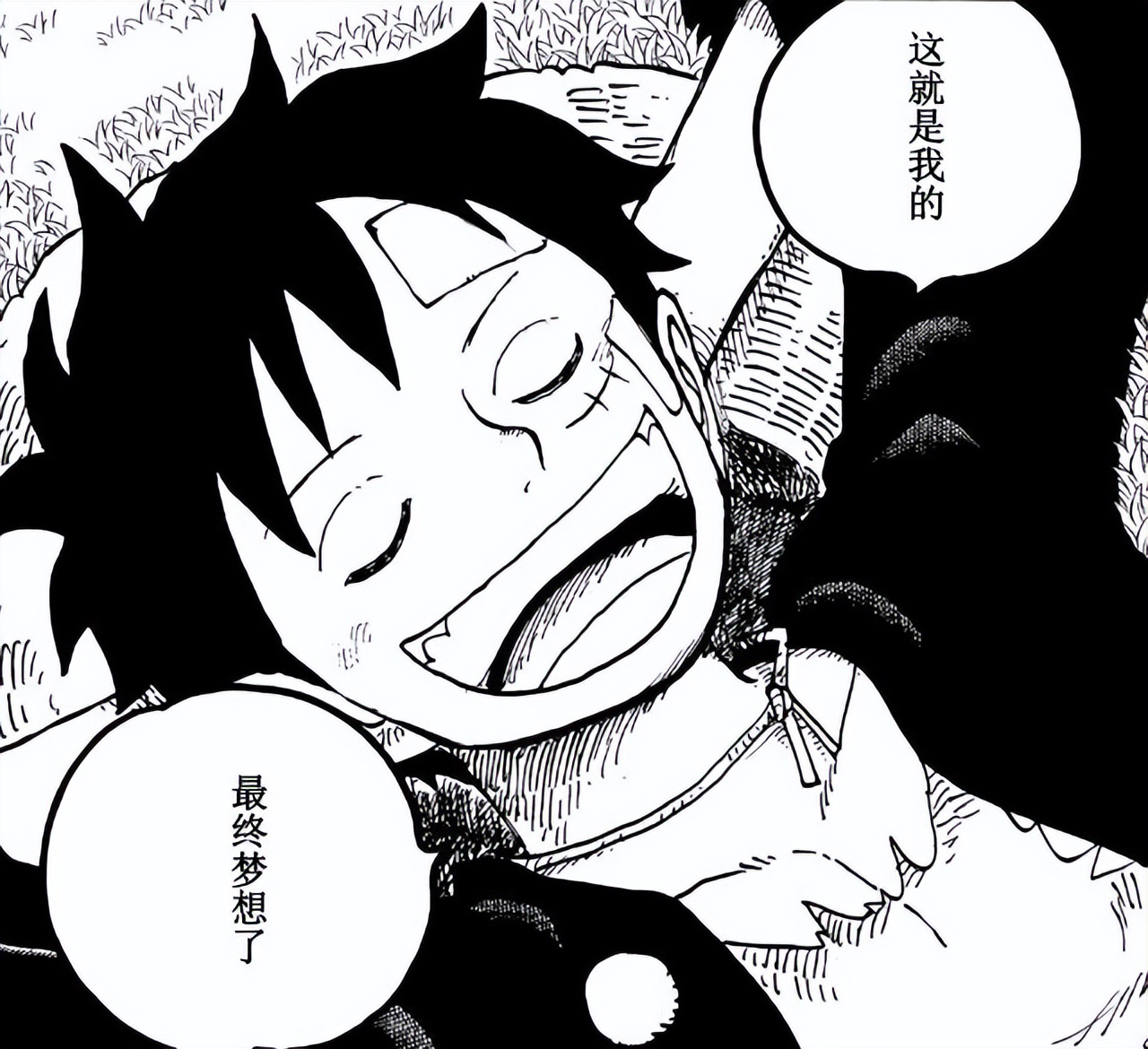 看了海贼王才明白的道理,看了二十年海贼王