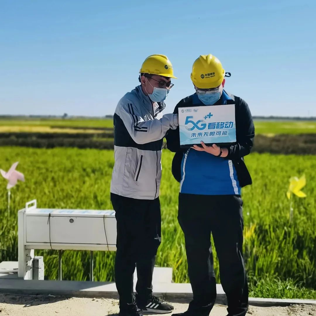 悬念揭晓在即,悬念揭晓视频