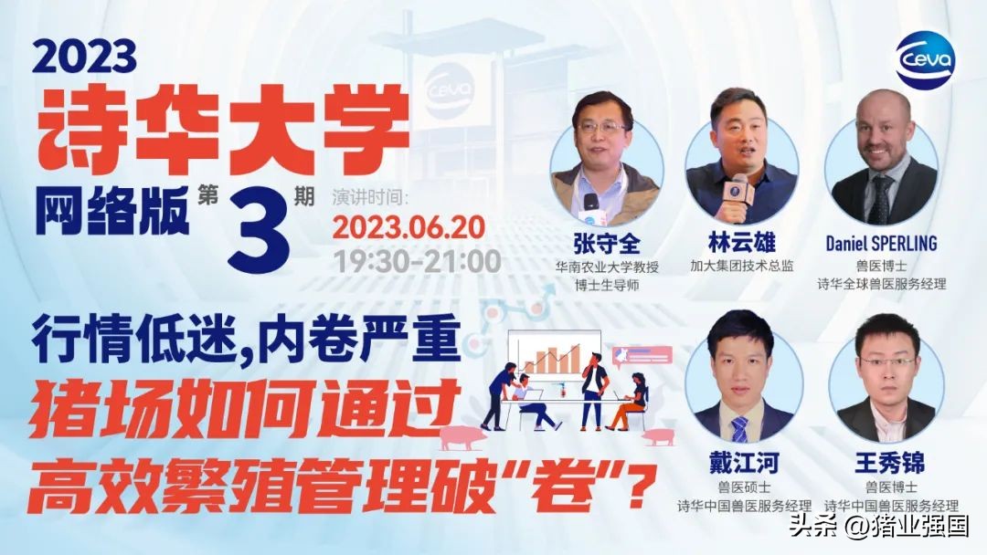 养猪技术及策略,猪场如何应对行情低迷