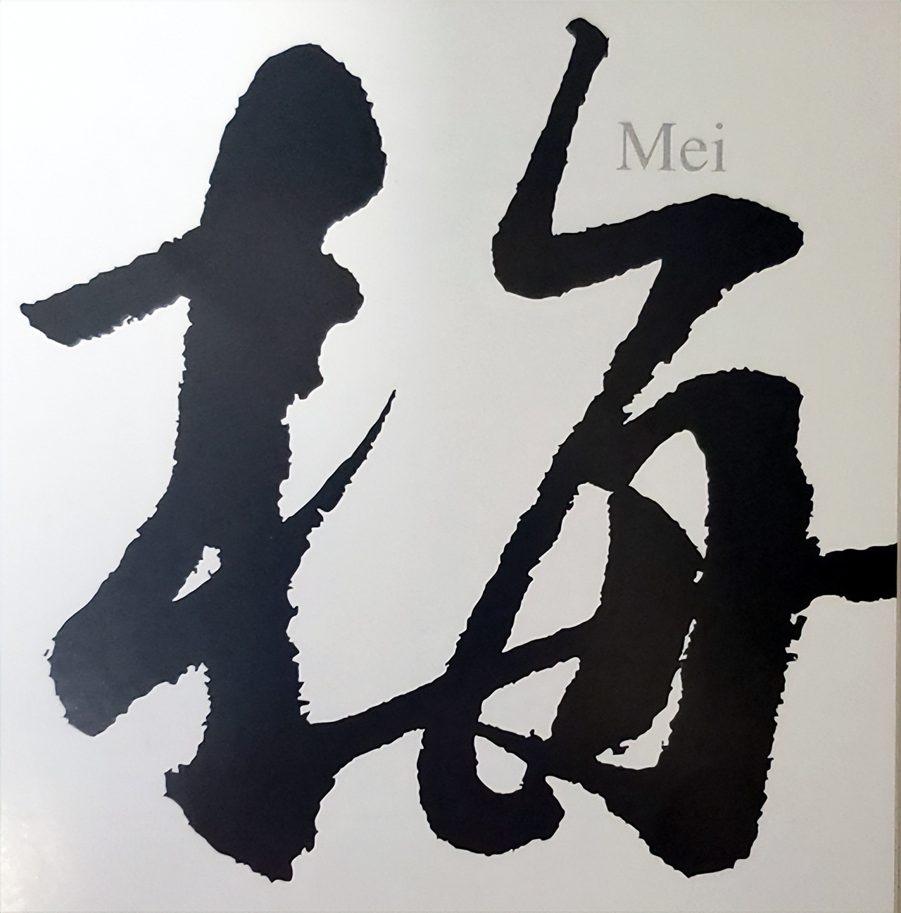 梅花公司成立 (梅花总部成立)