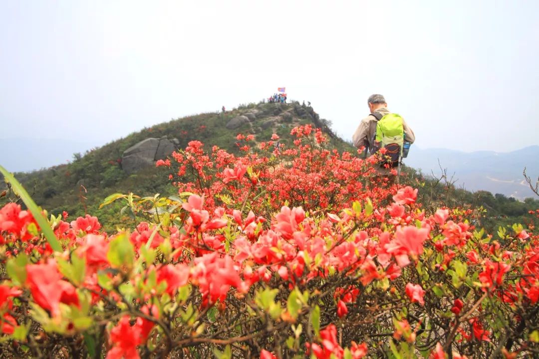 附近旅游攻略国内推荐3到4天,周围免费旅游景点推荐