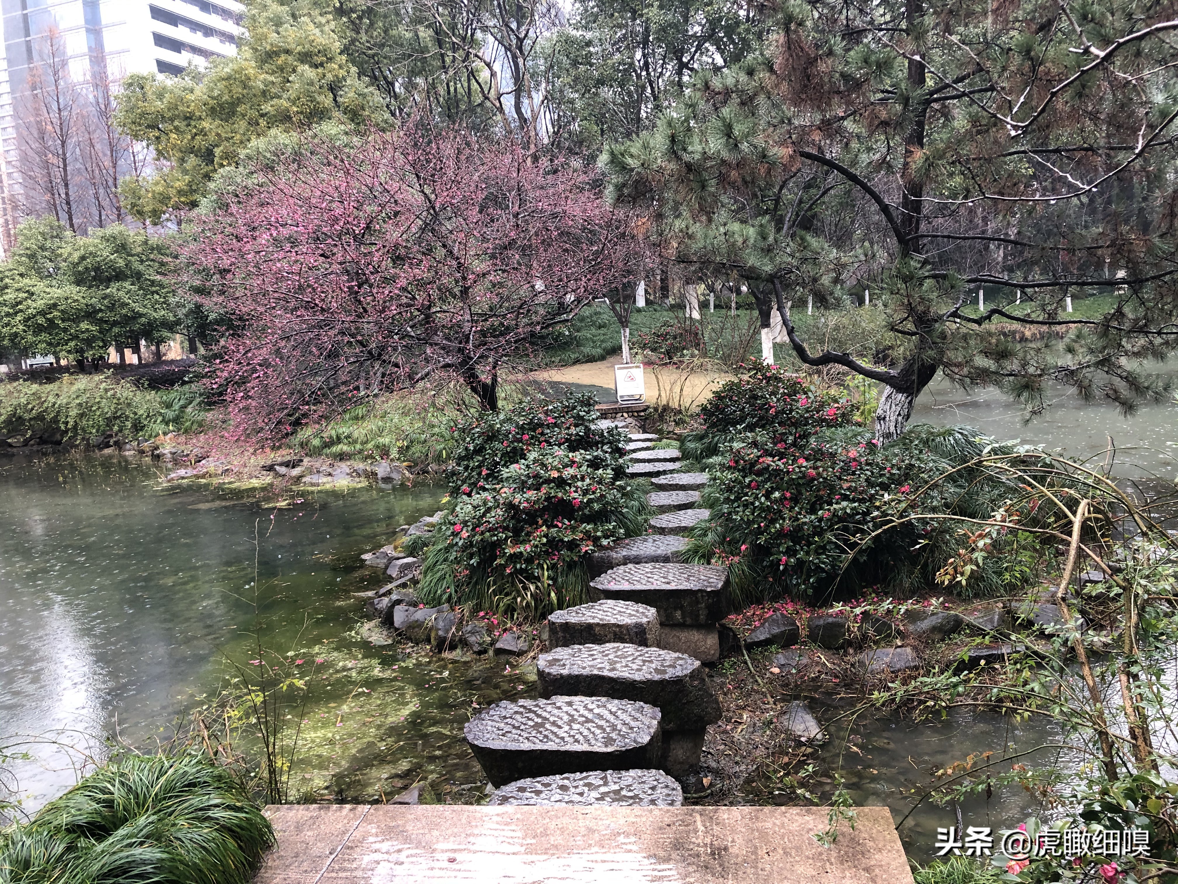 临平水景公园秋天,临平公园当地知名度最高的公园