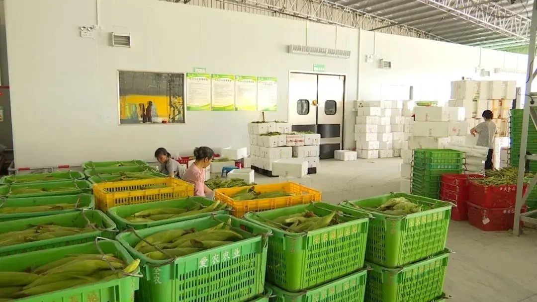 总投资超600亿肇庆11个重点项目,肇庆最新投资5亿元