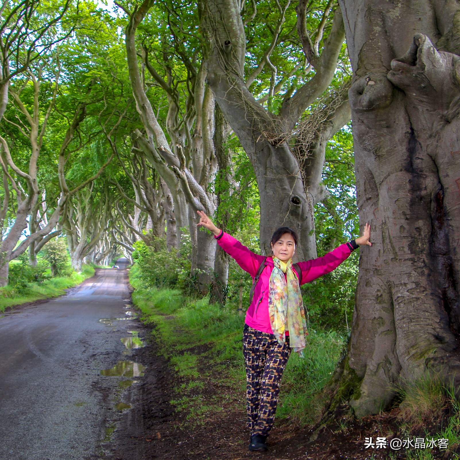 英国爱尔兰苏格兰旅游攻略,苏格兰爱尔兰北爱尔兰