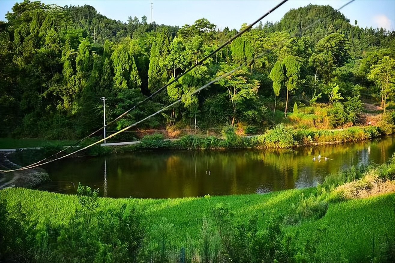 养殖一条鳄鱼大概盈利多少,养殖一条鳄鱼一年赚多少钱
