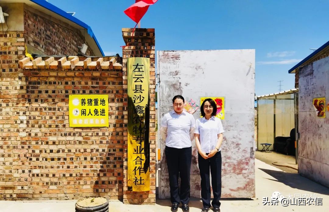 “阳光办贷”激发市场活力——最好的文案就是“大众点评”