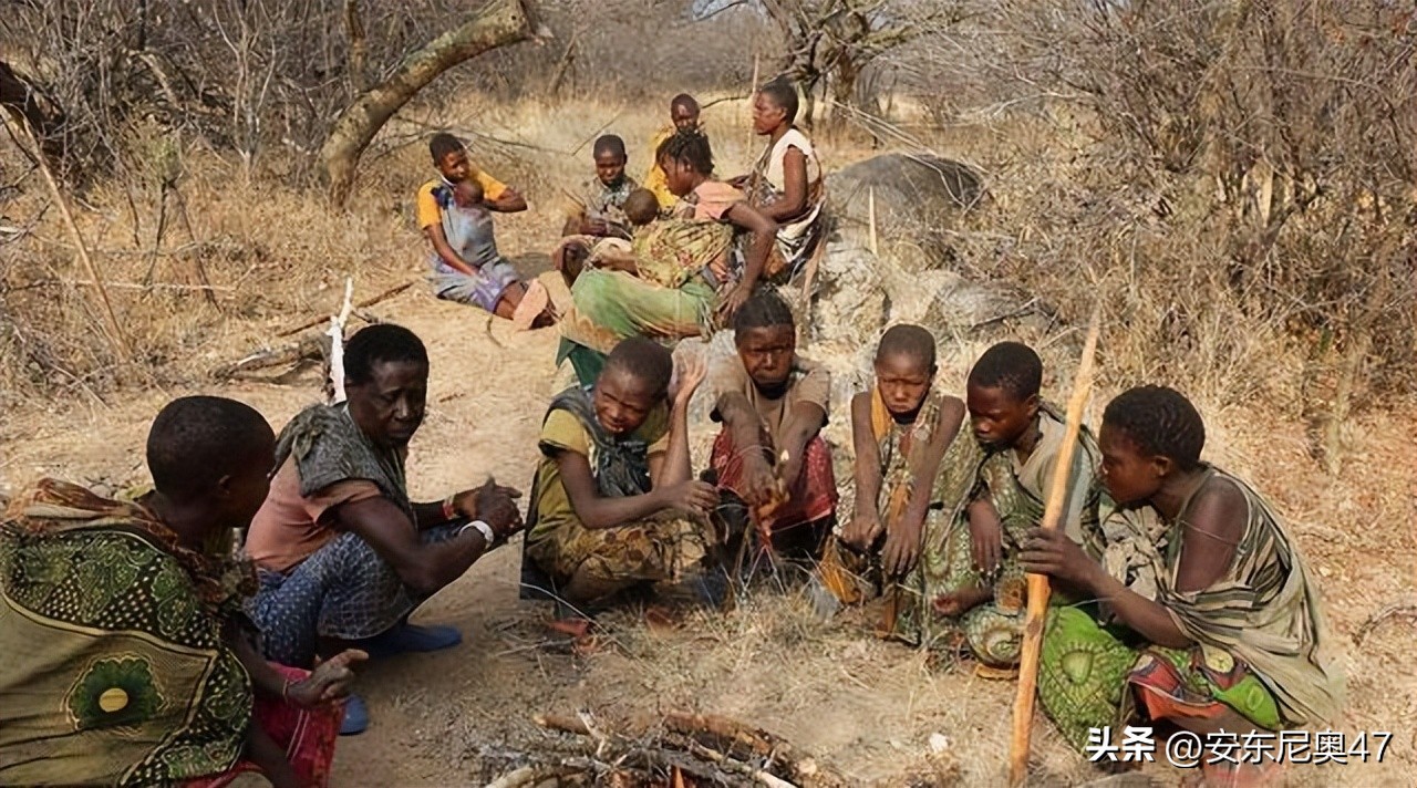 为何唯独黑人没有进化出勤劳的基因呢?原因只有一条