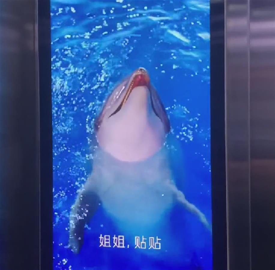 2021十大营销案例,2022年营销案例分析