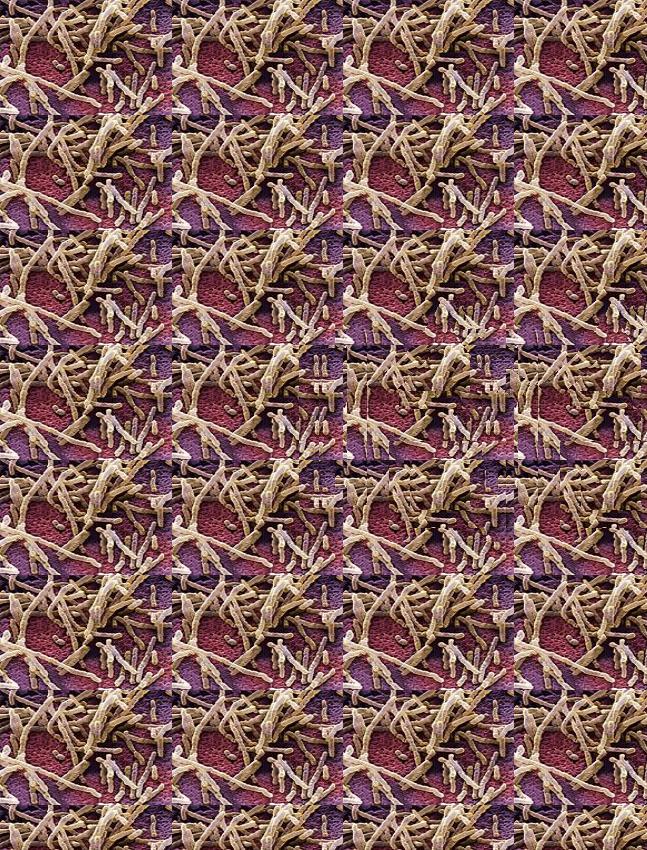 朋友网购收到一条坏的裤子，找客服后被质疑