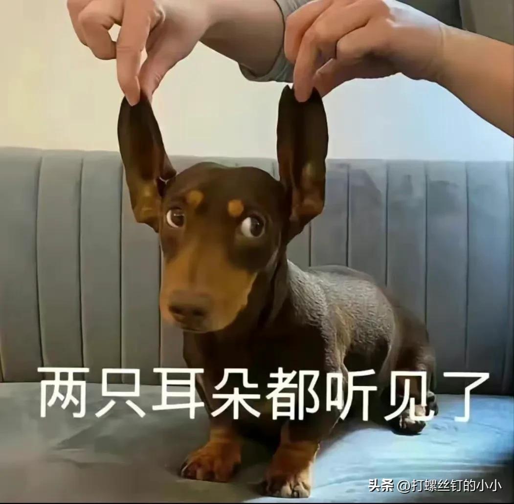 *今条头日**,抖音中视频计划,写小说这些赚钱的渠道你都试过几个?