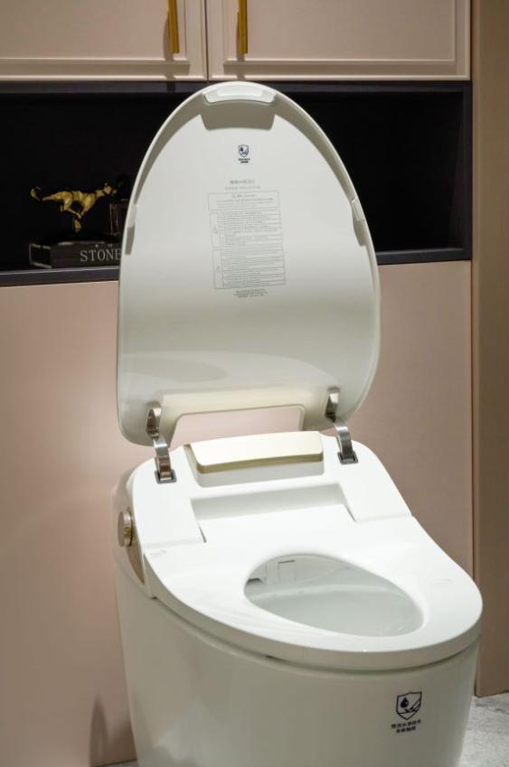 智能马桶下单前问哪些问题,智能马桶能从网上买