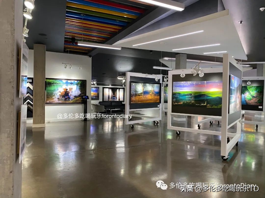 多伦多五星级酒店哪个好,多伦多极具特色的酒店推荐