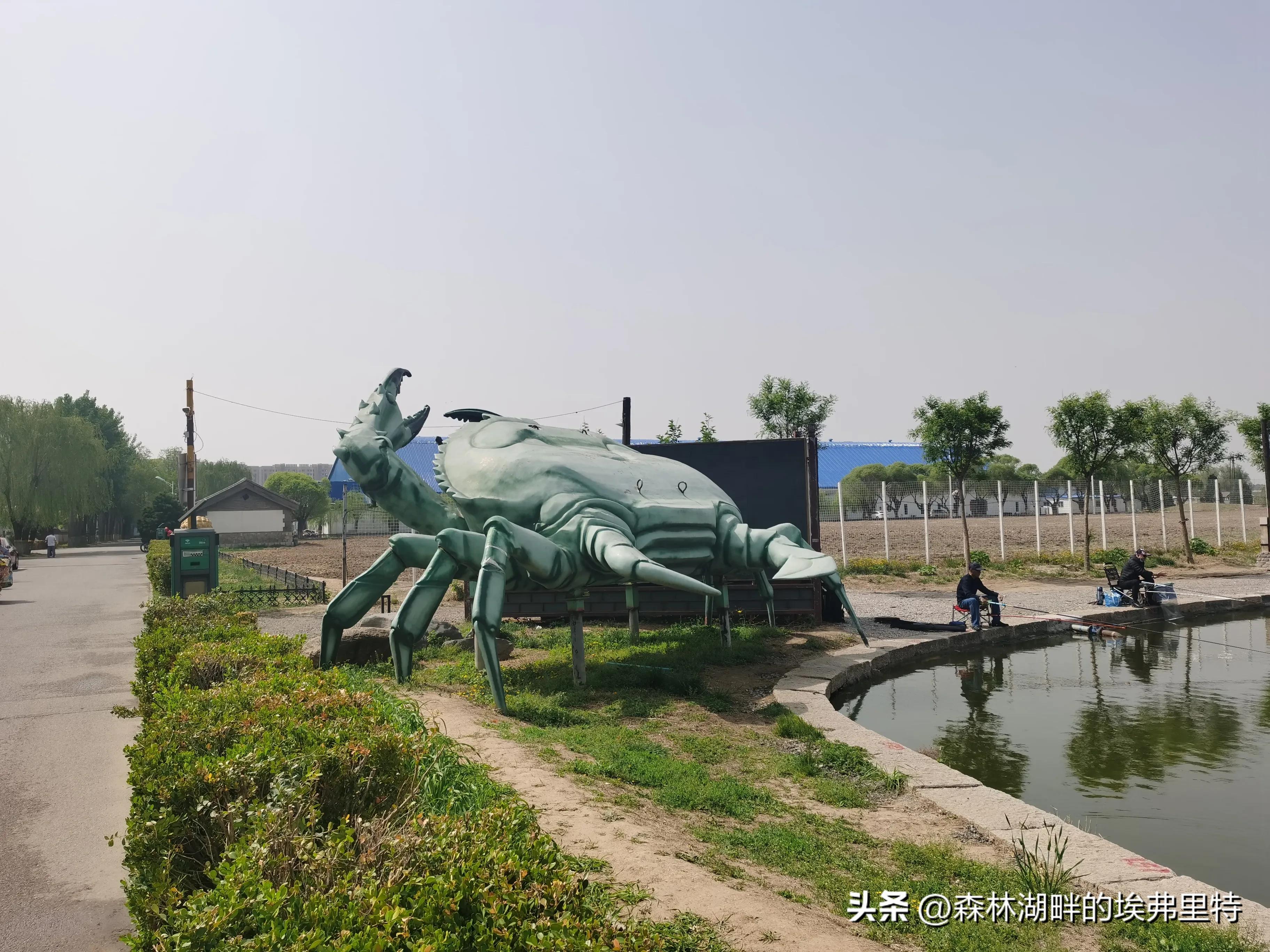 蟹岛度假村火灾,蟹岛度假村视频