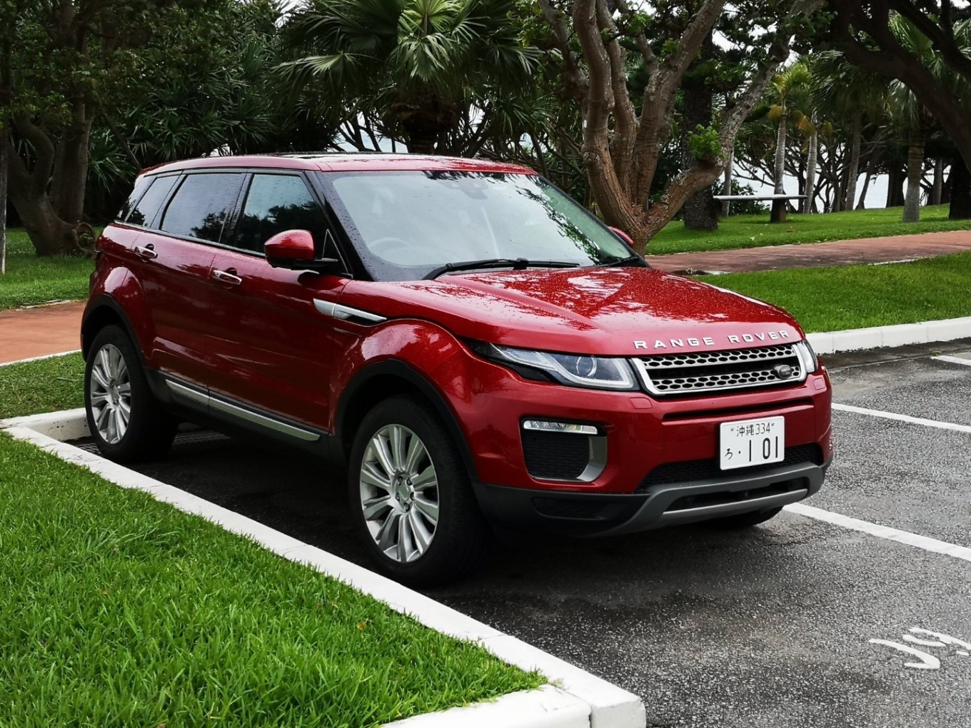 暑期档2019年,2019年暑期档