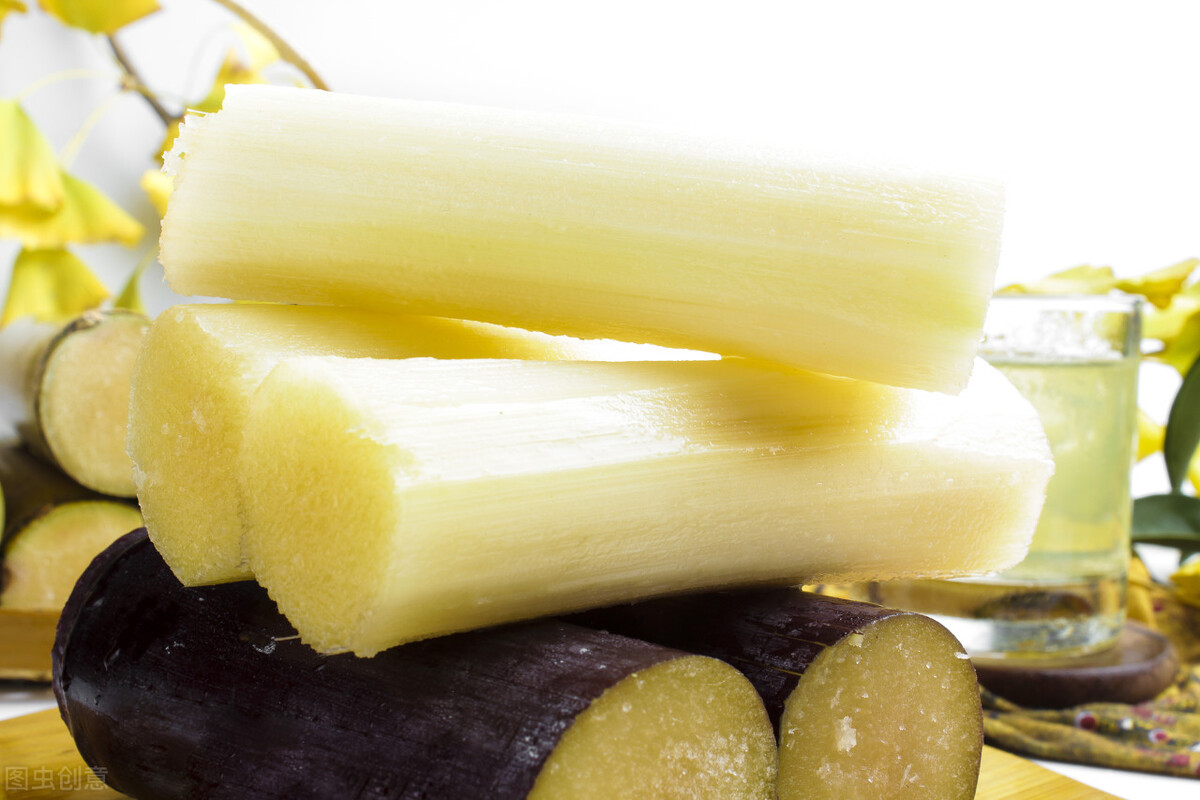 春养阳气胜良药,春养阳气