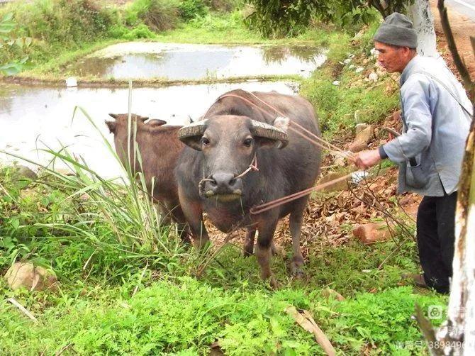 桂湘粤三省骑行交流,广西柳州三江自驾游视频