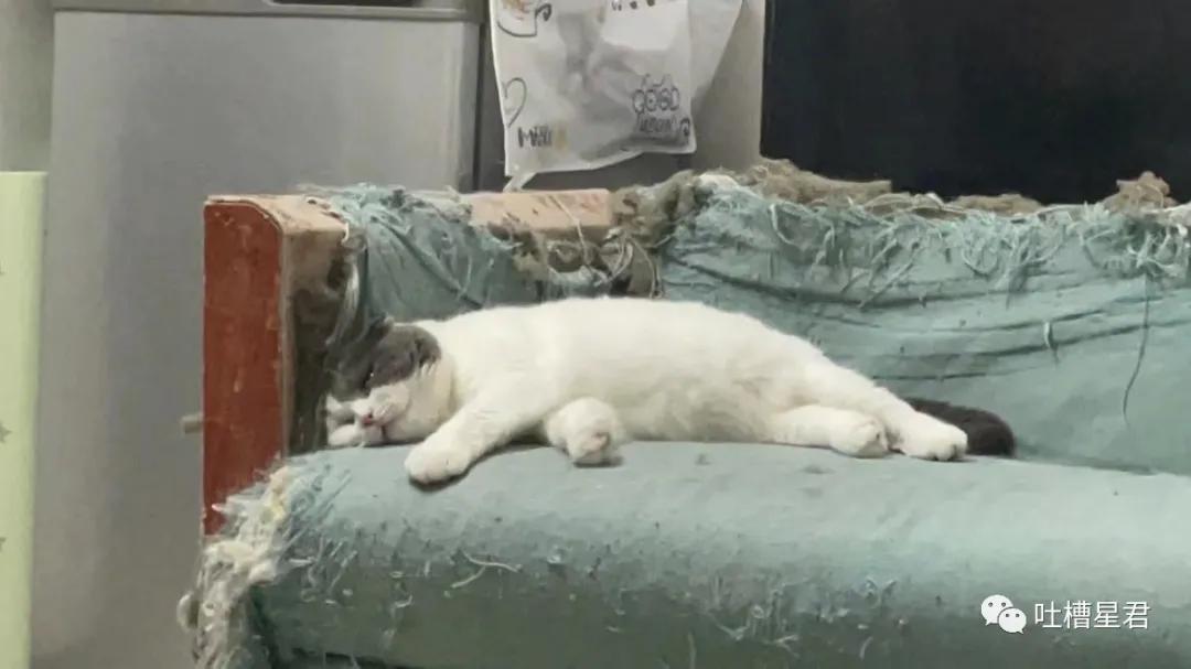 41万卡地亚后续,四十万买卡地亚被看不起