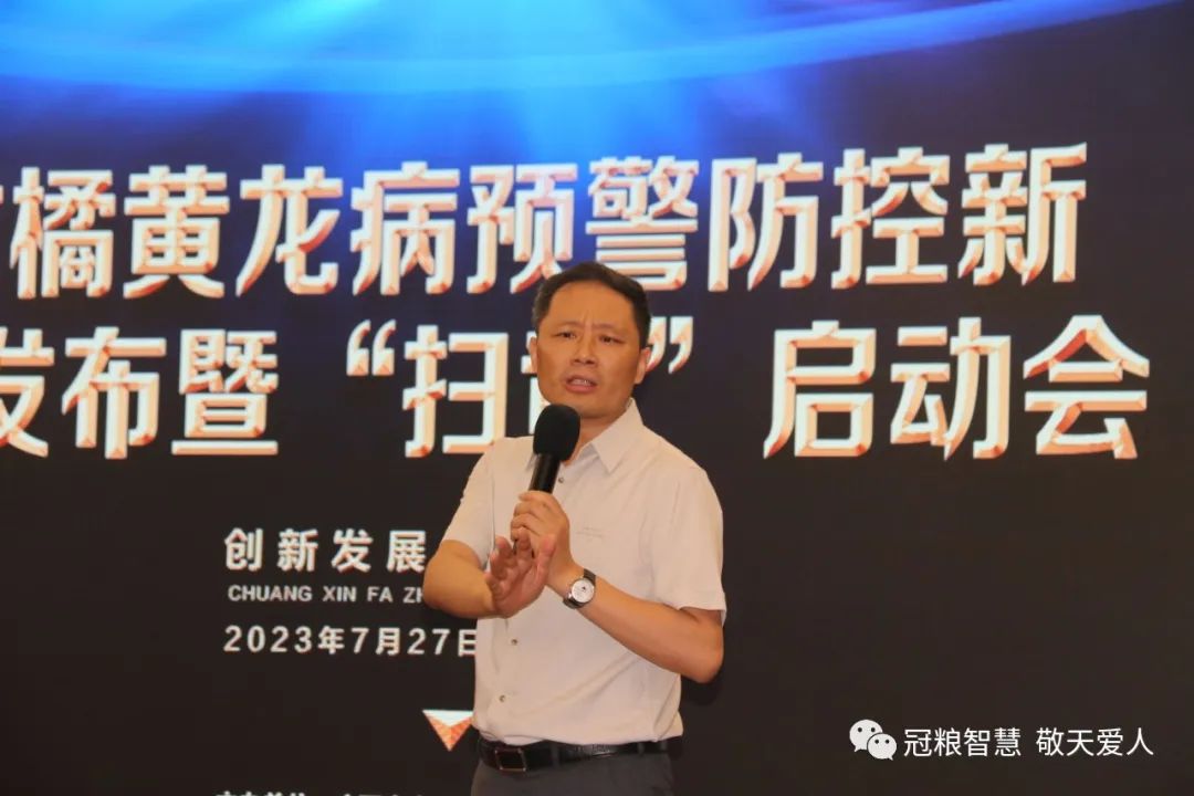 柑橘黄龙病防控工作总结,柑橘黄龙病绿色防控技术