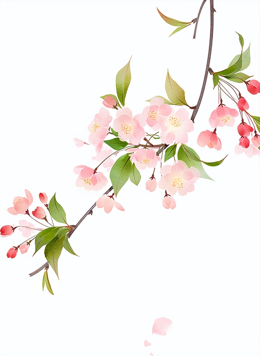 成年人怎么帮小孩买火车票,小孩买火车票怎么在网上订